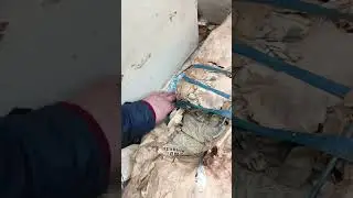 Неожиданные находки в гараже.