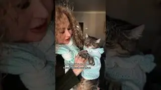 Sweater for a cat Knitting for animals Family look Scarf knitting for cat