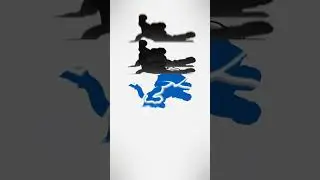 Road to the NFC Let's go LIONS!