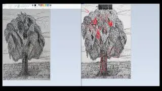 Зарисовка березы 7 класс  №2