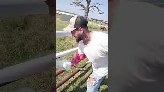 A genius way to paint a fence in minutes 🖌️💡
