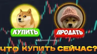 Что сейчас купить Dogecoin или Dogewifhat? Прогноз Dogecoin