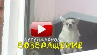 ростов 2021 апрель ВЛОГ 2