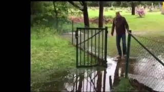 Смешное видео)