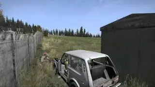 DayZ Grand theft!