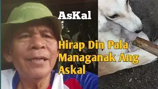 Paano Ang Kapapanganak Na Aso#doglover