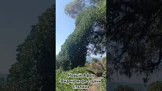 Новый Афон. Вид на море с дачи Сталина