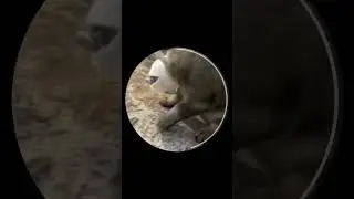 АХАХВЗАЗАЗАЗ