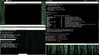 Bruteforce SSH Login Using Metasploit