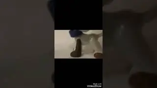 LPS клип "Вите надо выйти"