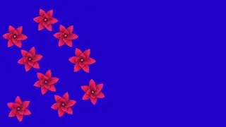 flowers green screen,green screen flowers,flowers falling down green screen,flowers green screen