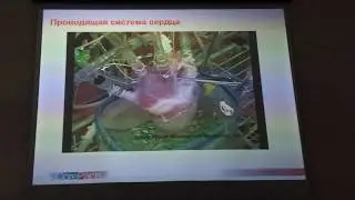 Первая он-лайн школа пациента с имплантируемым электрокардиостимулятором