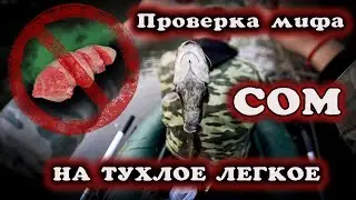 Проверка мифа "СОМ" на тухлое легкое (Рыбалка).
