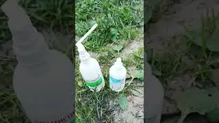 Кто лучше?