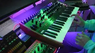 KORG Prologue Afternoon Jam