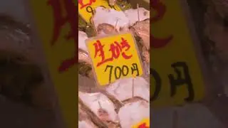 Beautiful seafood market in Tokyo, Tsukiji | Amazing Japan Travel Adventure Documentary