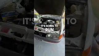 Car dramas how fun 🤩 is it time for a Barra swap?