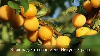 Я так рад