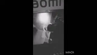 собаки сутулые офигенские супер силы