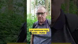 Кто твоя идеальная пара: Дева - Рыбы. #джйотиш #ведическаяастрология #астрологпитченко