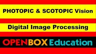 photopic and scotopic vision