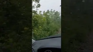 Добрались до форта №3  во Владивостоке