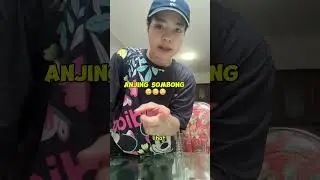 Kenapa sih dia gak mau dicium cici???😒😒😒