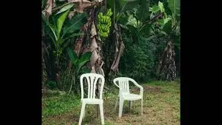 Bad Bunny - EL CLúB