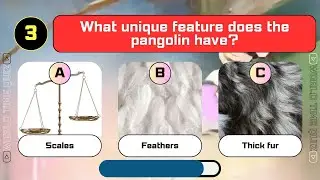 Guess The Unique Animals Rarwly Known?