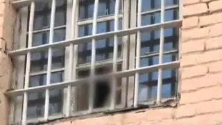 Короткометражный фильм о войне и майдане в Украине