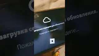 30 июля 2024 г.