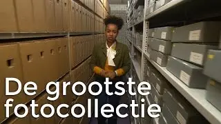 STE - De grootste fotocollectie | Het Klokhuis