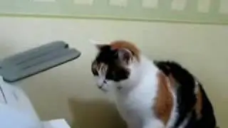 What's wrong with this thing?