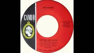 Evie Sands – “Picture Me Gone” (Cameo) 1966