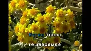 Борлегэн.Татарча Караоке | Татарская народная песня