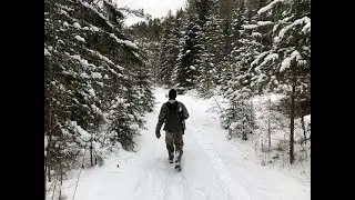 Охота зимой с Фокстерьером в Манской тайге. Красноярский край, Восточный Саян.
