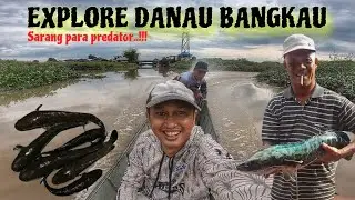 DANAU PENUH IKAN‼️INI SURG4 PARA CASTINGER / ANGLER  | Casting Ikan Gabus