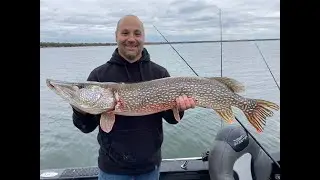 42” MN Northern Caught After First Bait Casting Lesson!