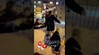 У меня есть живое чудо...