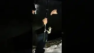 рыбалка в Тараз 2023