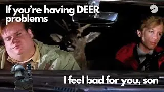 99 Problems (But A Deer Ain't One) | Yard Enforcer Update