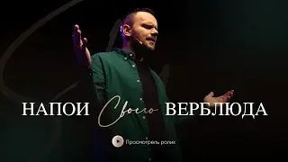 Напои своего верблюда