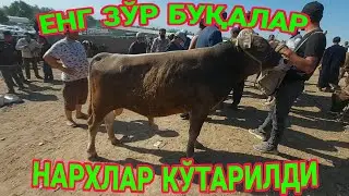 ЧИРОҚЧИ ЧОРШАНБА МОЛ БОЗОРИ