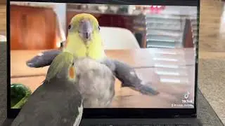Who dis?!