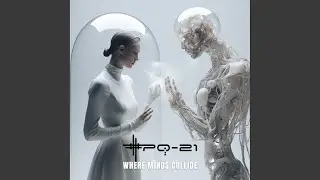 Where Minds Collide