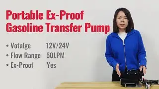 Portable Electric DC12V/24V 50LPM Ex-Proof Gasoline Petrol Transfer Pump
