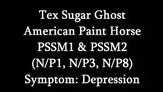 Symptoms Of MIM (PSSM2)- Depression (Tex Sugar Ghost)