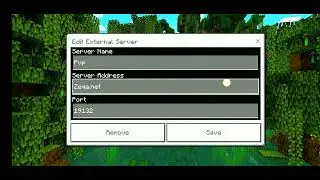 Should I Make A New Public Smp For You guys comment down if yes