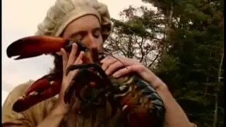 Conquest of America 3of4 Northeast