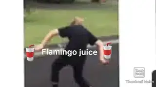 flamingo juice
